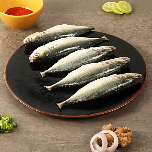 Fresh Indian Mackerel Head-On Gutted Clean