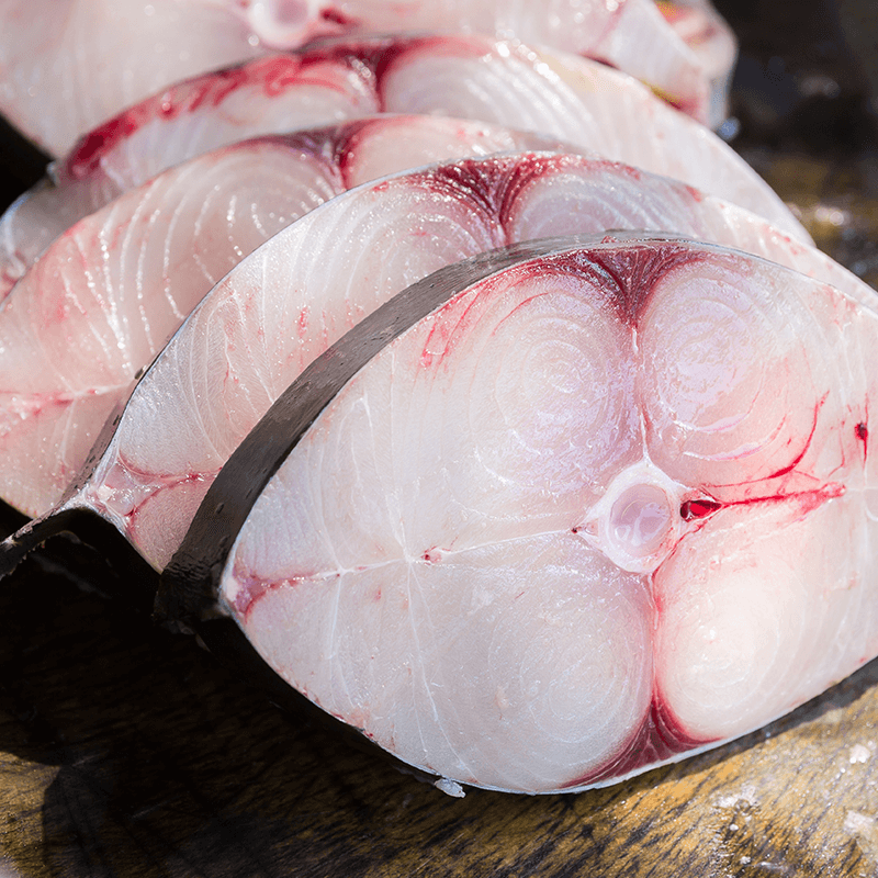 Fresh King Fish Fillet