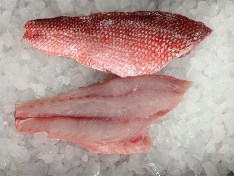 Fresh Red Snapper Fillet