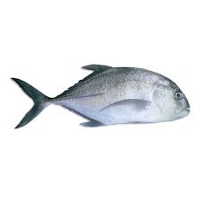 Premium Frozen Trevally Steaks