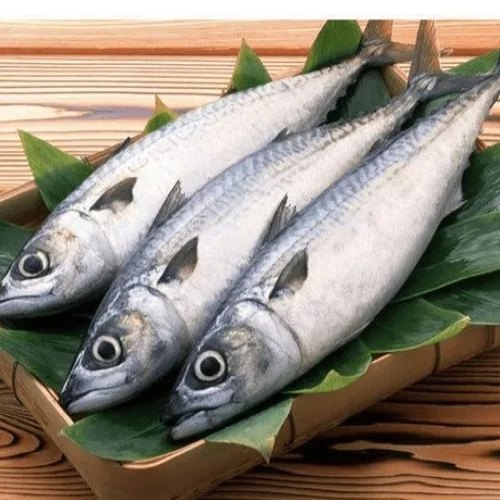 Premium Frozen Baby Kingfish Steaks