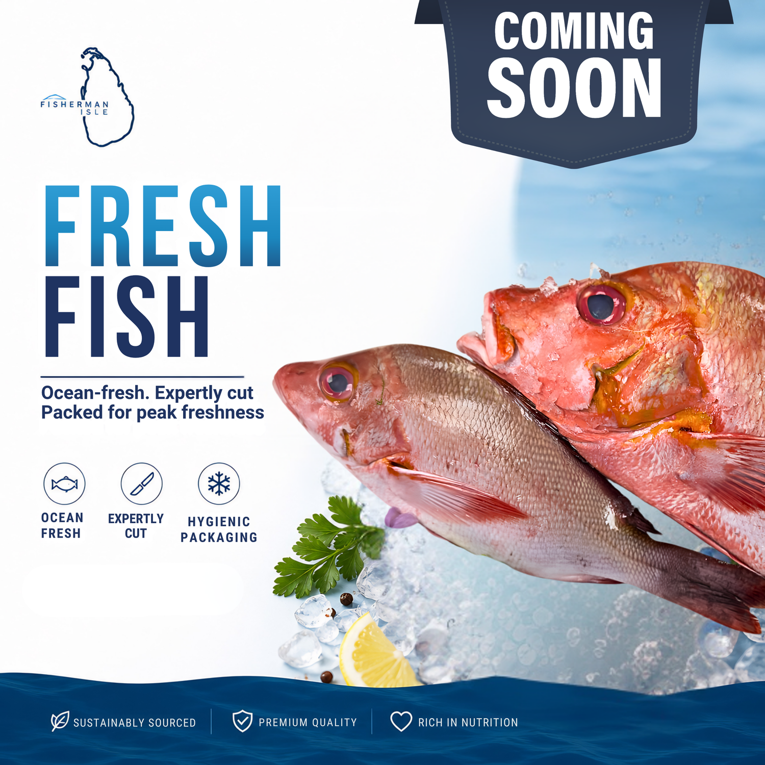 Fresh Fish Zone