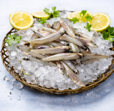 Fresh Anchovy