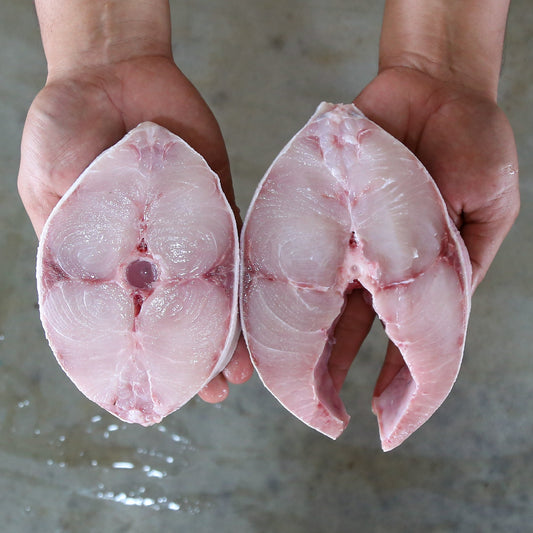 Fresh Cobia Fillet