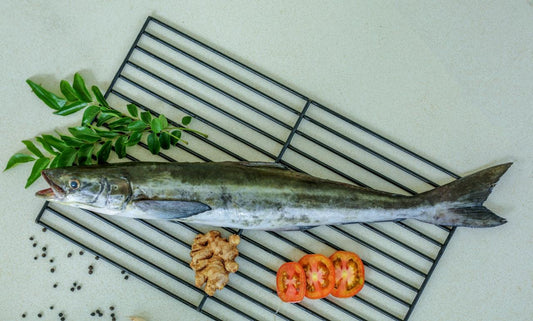 Fresh Cobia Whole Gutted Clean