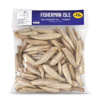 FROZEN ANCHOVY