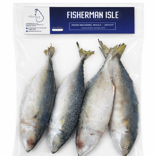 Frozen Indian Mackerel  Whole 1KG