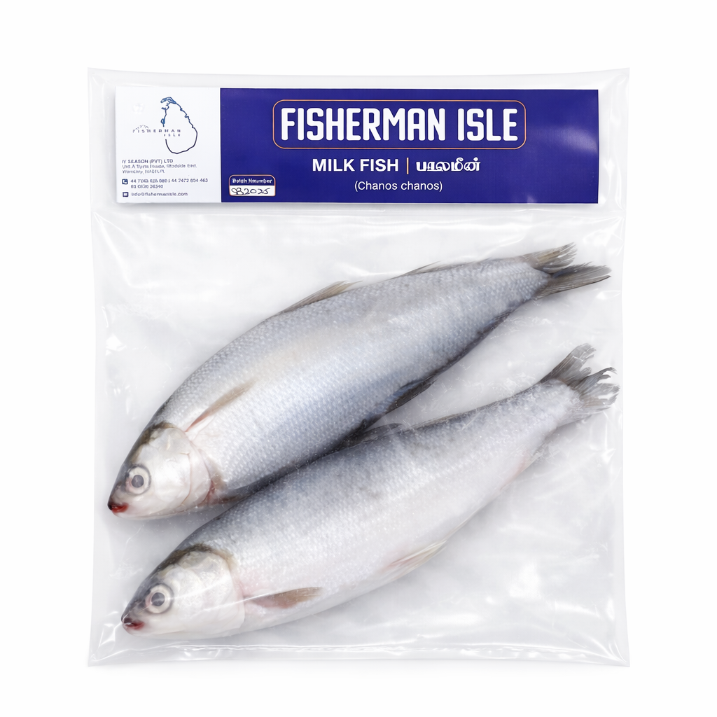 Premium Frozen Milkfish (Whole)
