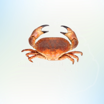 Crab