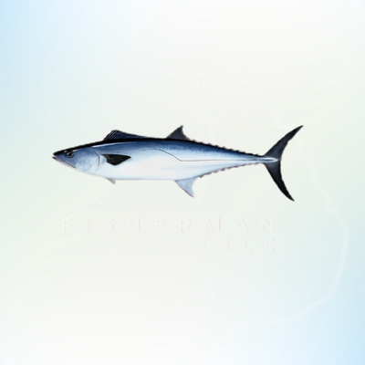 King Fish