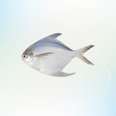 Pomfret