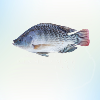 Telapia