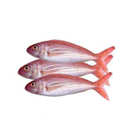 Premium Frozen Japanese Threadfin Bream (Whole)