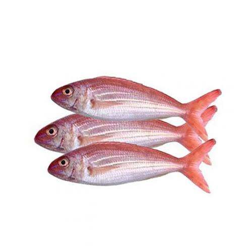 Premium Frozen Japanese Threadfin Bream (Whole)