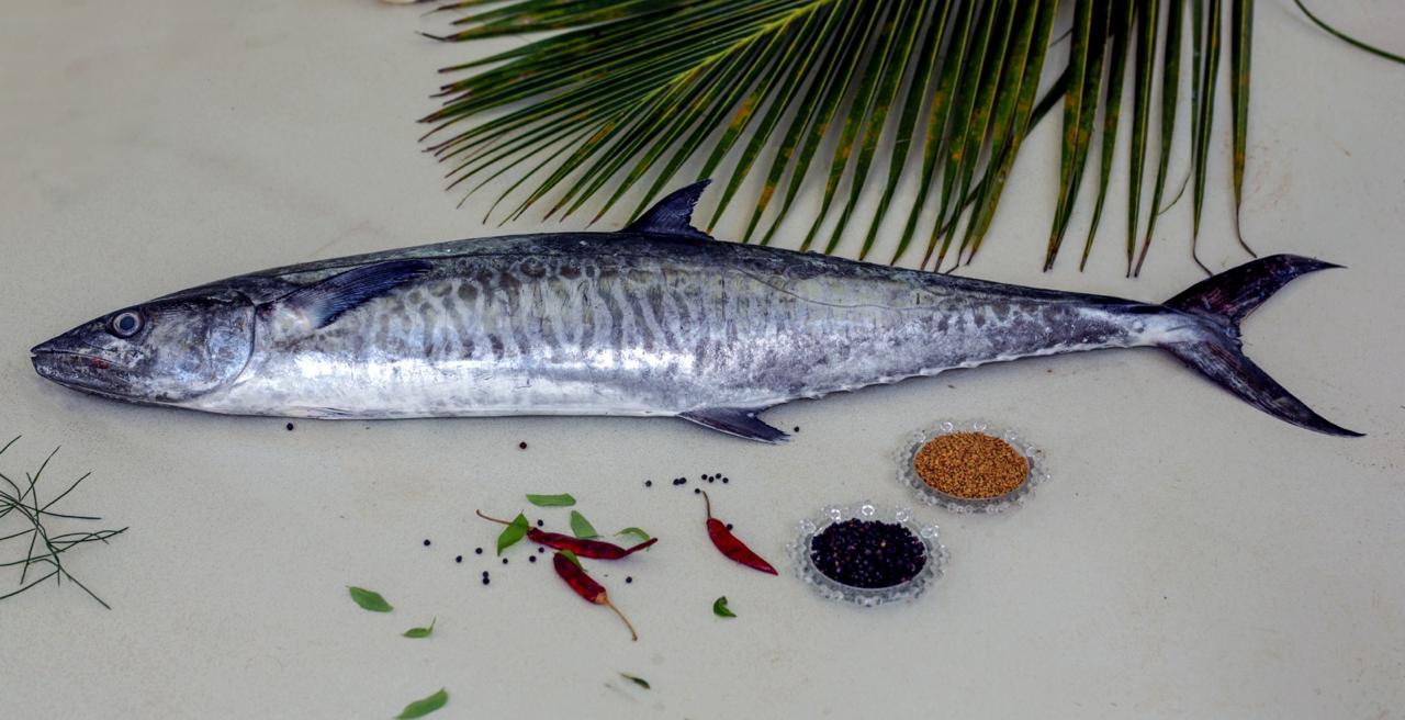 Fresh King Fish - Whole