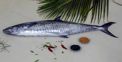 Fresh King Fish