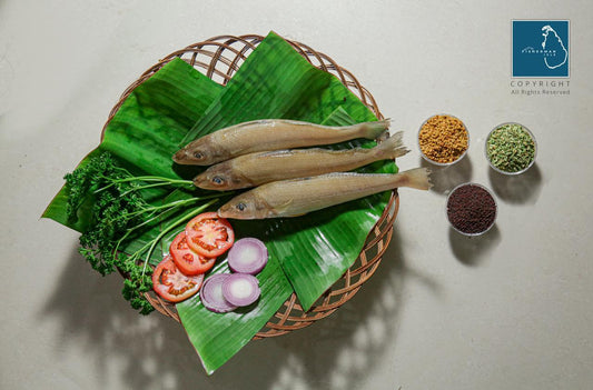 Fresh Lady Fish - Whole