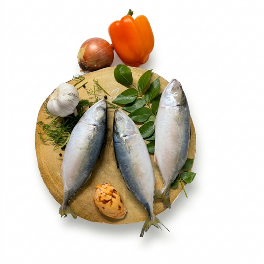 Frozen Indian Mackerel  Whole 1KG