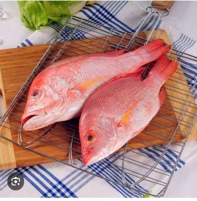 Fresh Red Snapper