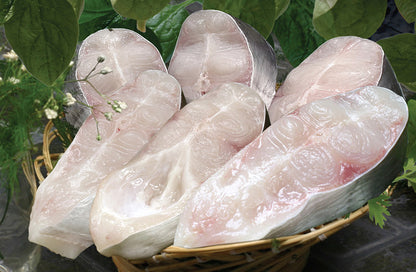 Premium Frozen Pangasius Steaks